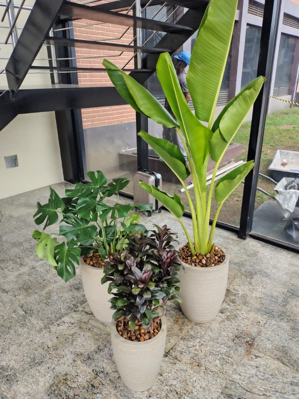 MONTAGEM COMPLETA DE VASOS