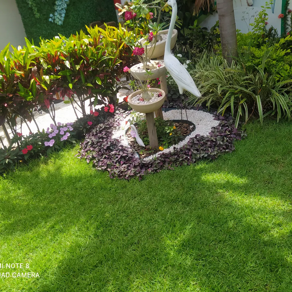 serjap-jardinagemg4821.png