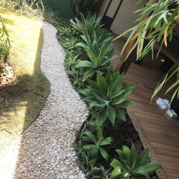 serjap-jardinagemg4822.png