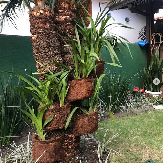 serjap-jardinagemg4824.png