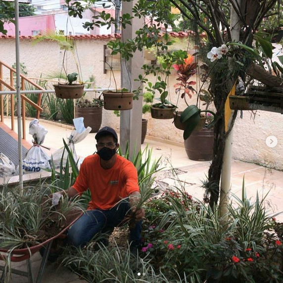 serjap-jardinagemg4826.png