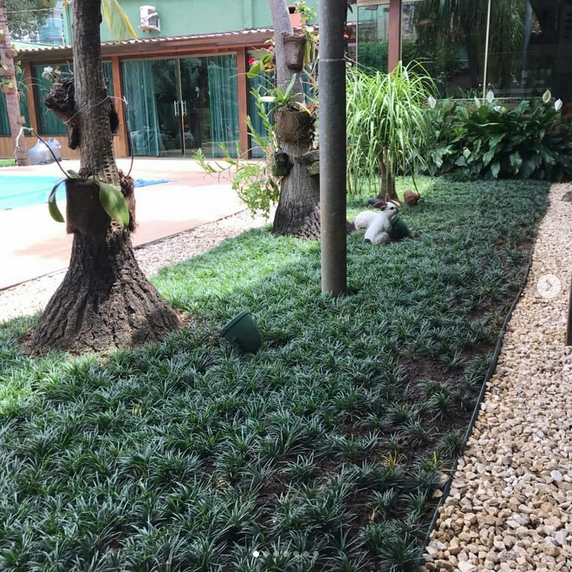 serjap-jardinagemg4828.png