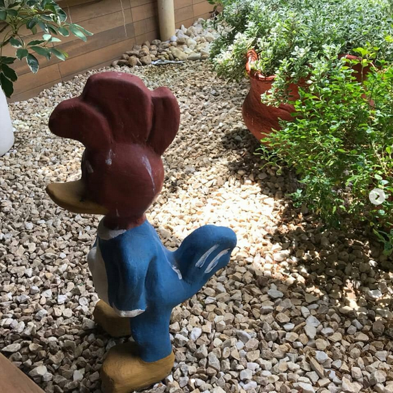 serjap-jardinagemg4830.png
