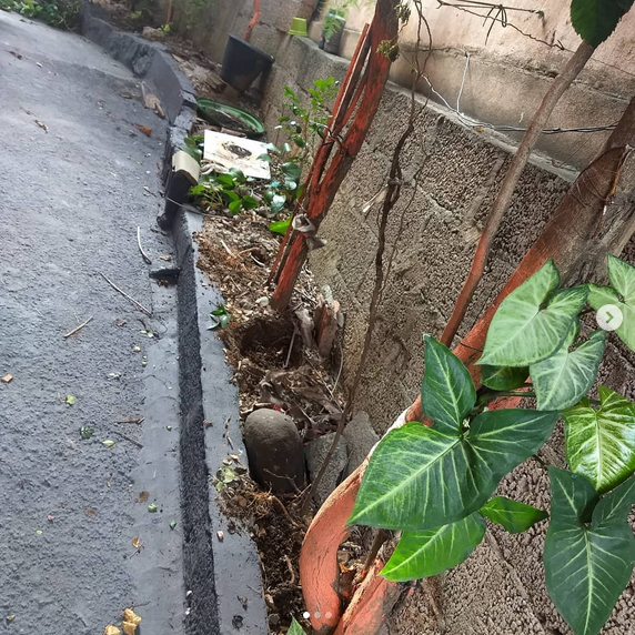 serjap-jardinagemg4837.png