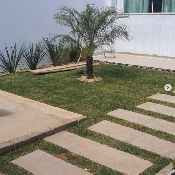 serjap-jardinagemg4842.png