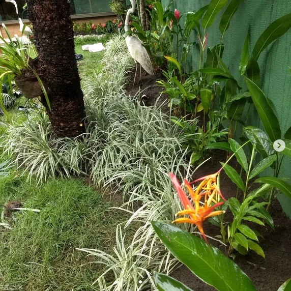 serjap-jardinagemg4845.png