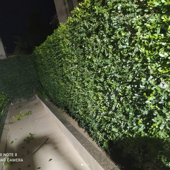 serjap-jardinagemg4848.png